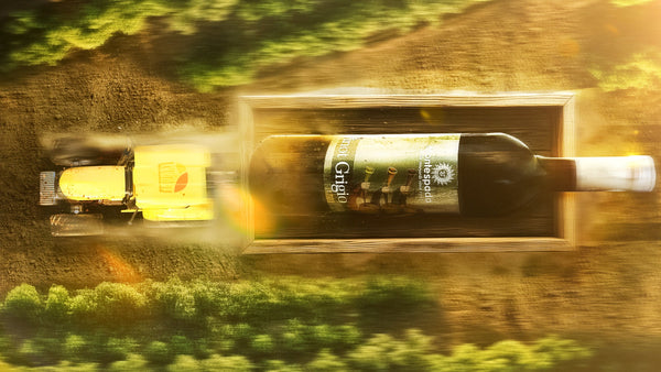 Como Escolher o Vinho Ideal para Cada Ocasião